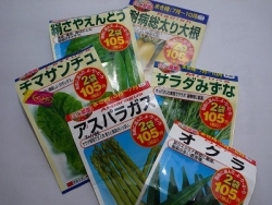 100円ショップの野菜の種を買って野菜を育てる