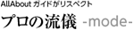 AllAbout�K�C�h�����X�y�N�g �v���̗��V-mode-