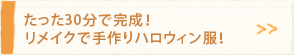 ������30���Ŋ����I�����C�N�Ŏ���n���E�B�����I