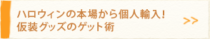 �n���E�B���̖{�ꂩ��l�A���I�����O�b�Y�̃Q�b�g�p