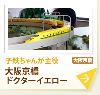 ��Ŵ����󤬼��� Ŵƻ���ե� �������ɥ�������������