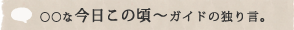 �����ȍ������̍��`�K�C�h�̓Ƃ茾