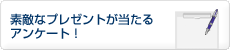 �f�G�ȃv���[���g��������A���P�[�g�I