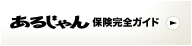 ���邶���ی����S�K�C�h