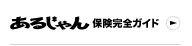 ���邶���ی����S�K�C�h