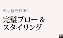 �c���������I�@�����u���[���X�^�C�����O
