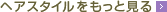 �w�A�X�^�C���������ƌ���