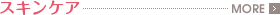 �X�L���P�A