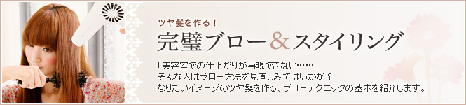 �c���������I�����u���[���X�^�C�����O