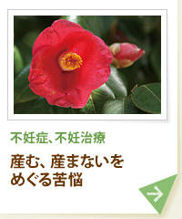 不妊症、不妊治療 産む、産まないをめぐる苦悩