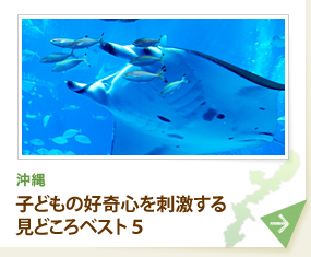 子どもの好奇心を刺激する沖縄の見どころベスト５