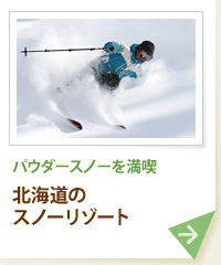 パウダースノーを満喫 北海道のスノーリゾート